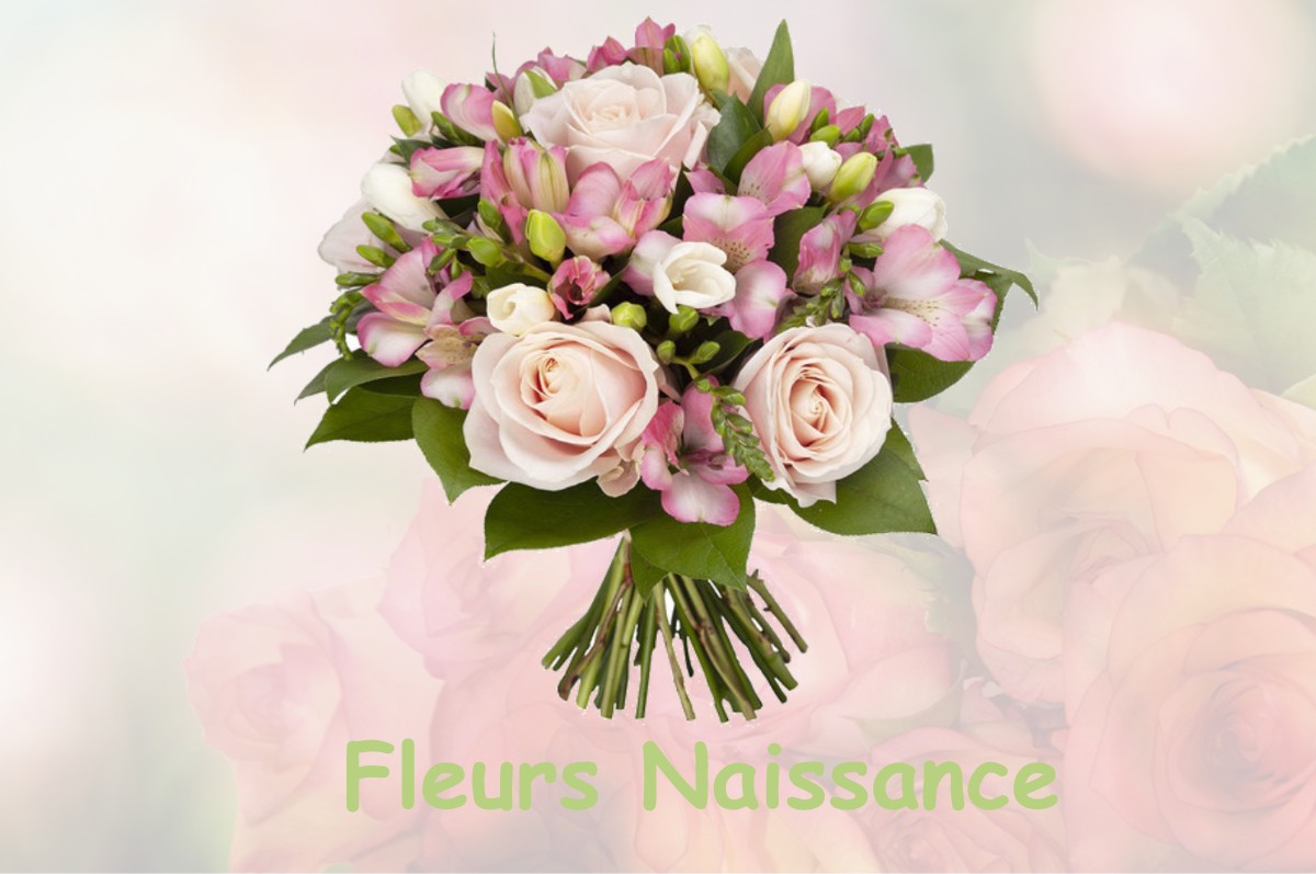 fleurs naissance CHOISEY